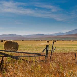 image for Agrologist