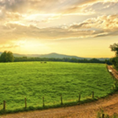 Farm Manager