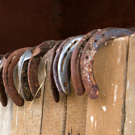 Farrier