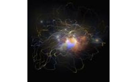 Particle Physicist