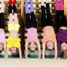 Physical Education Teacher