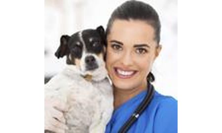 Veterinary Assistant