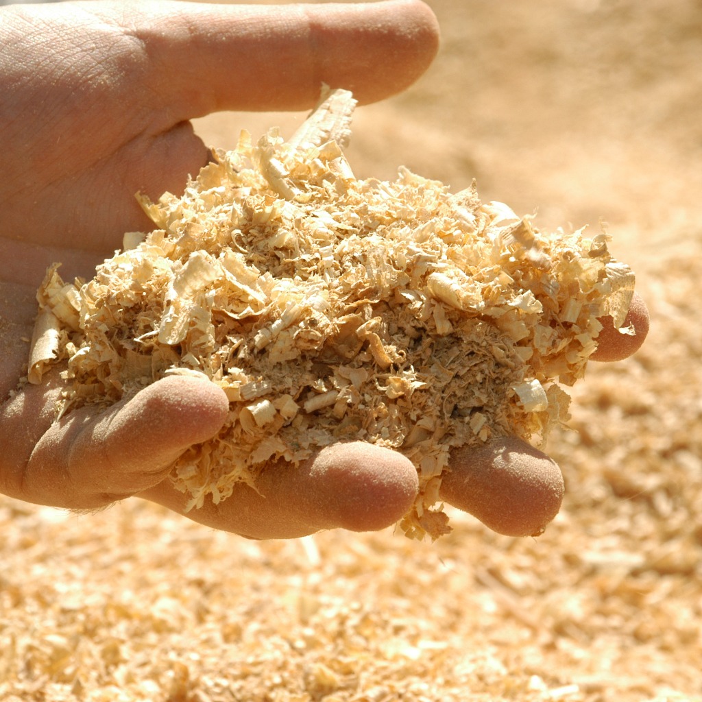 Paper Science and Engineering