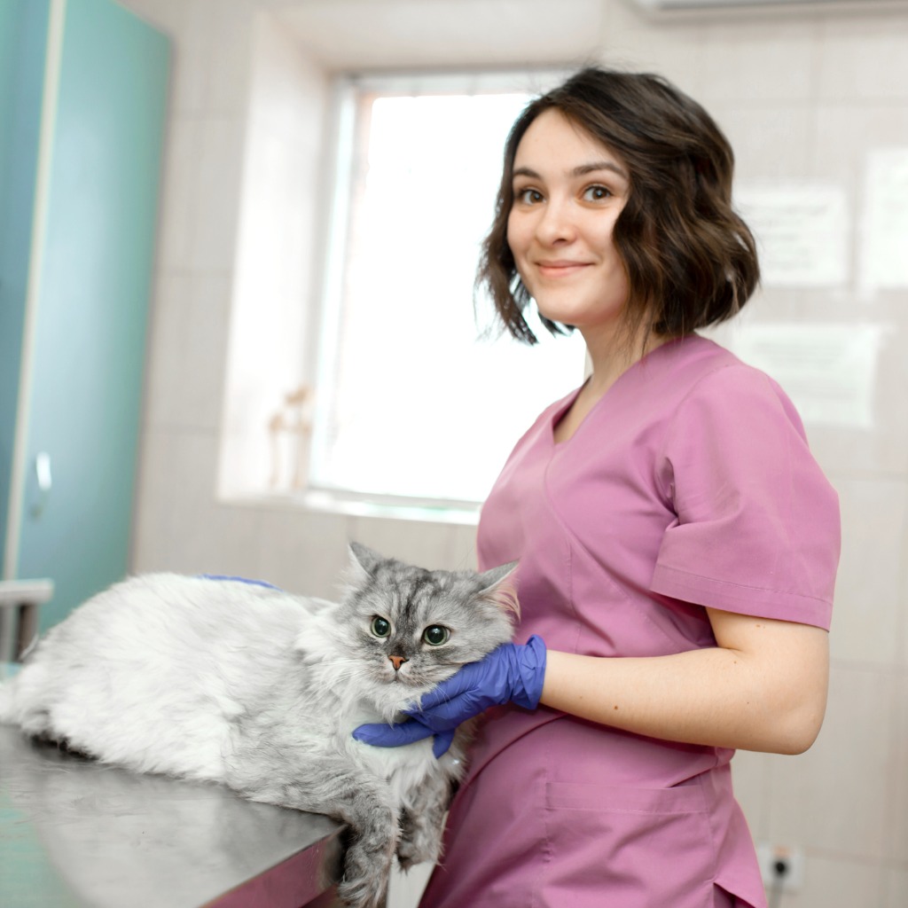 Veterinary Technology