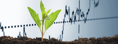 Agricultural Economics