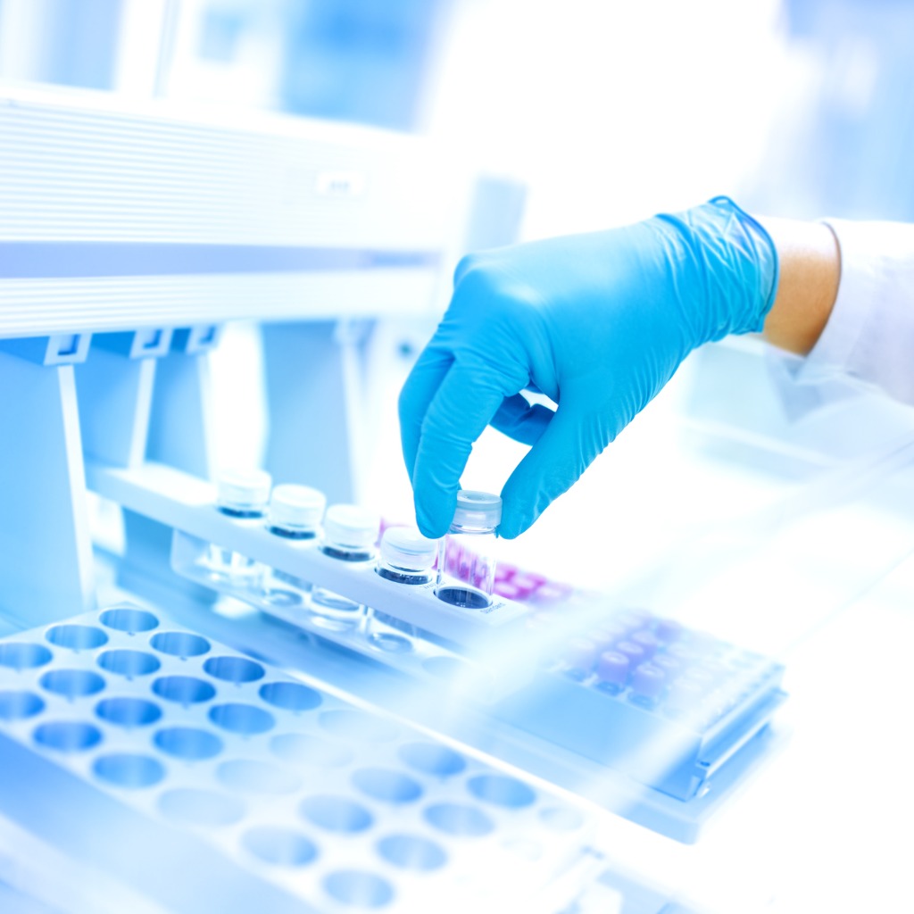 Molecular Biology and Related Studies