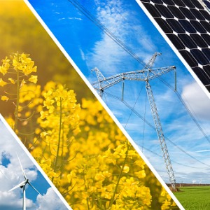 Environmental Consultant