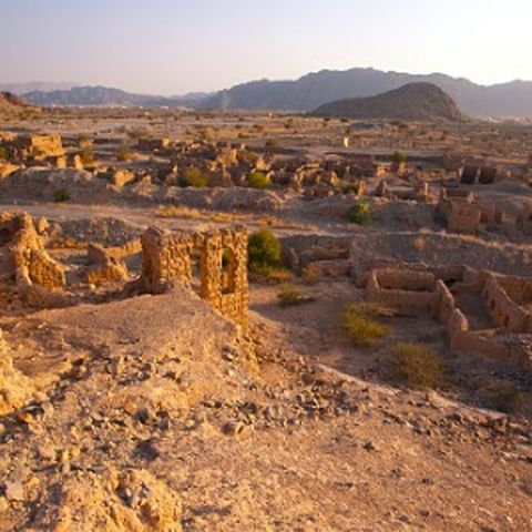 Archaeologist