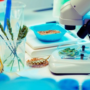 Food Product Development Technician