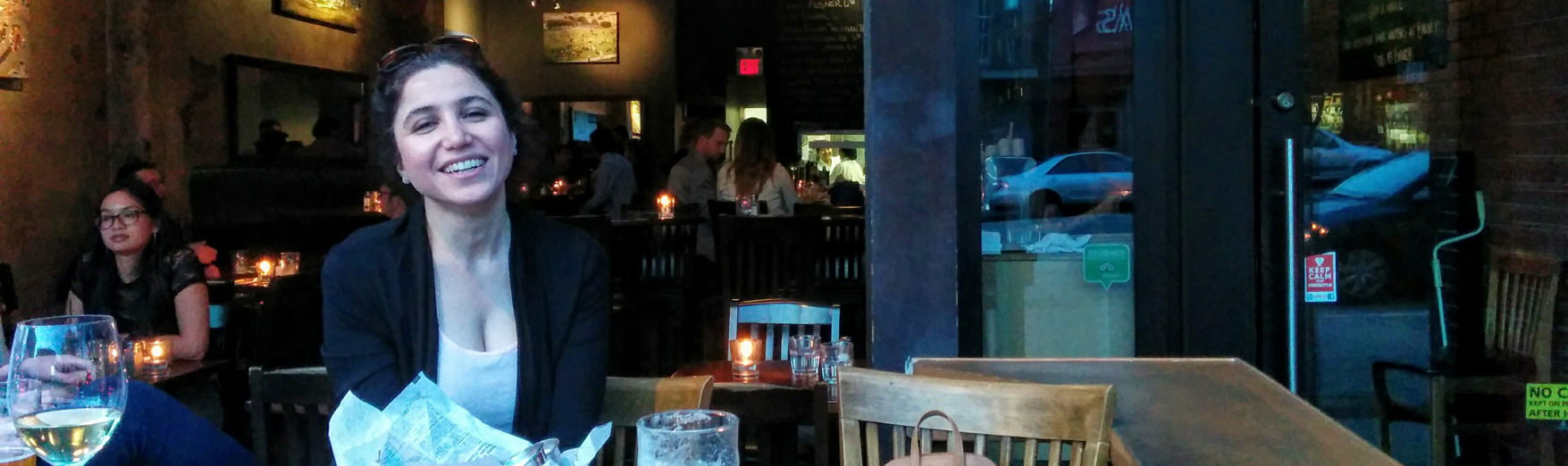 Picture of Flight Attendant, Azita Mofidi