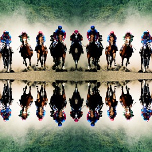 Racehorse Trainer