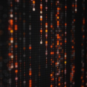 Full Stack Developer