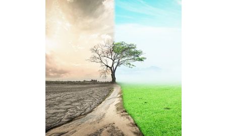 Environmental Engineer
