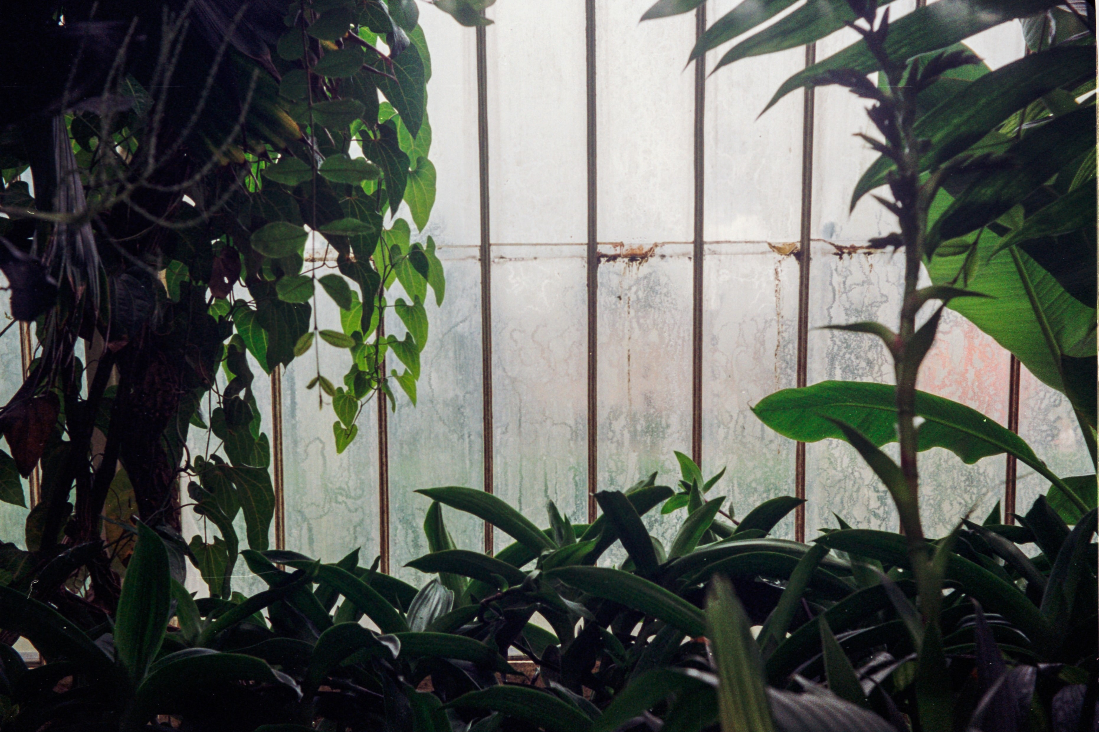 Why Career Tests Don't Work thumbnail image