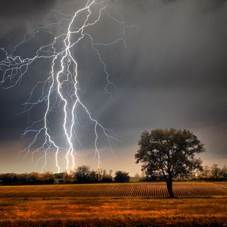 Meteorology and Related Studies