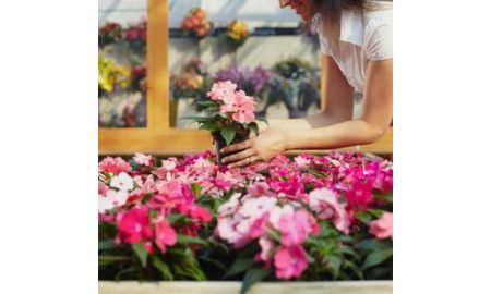 Nursery Worker