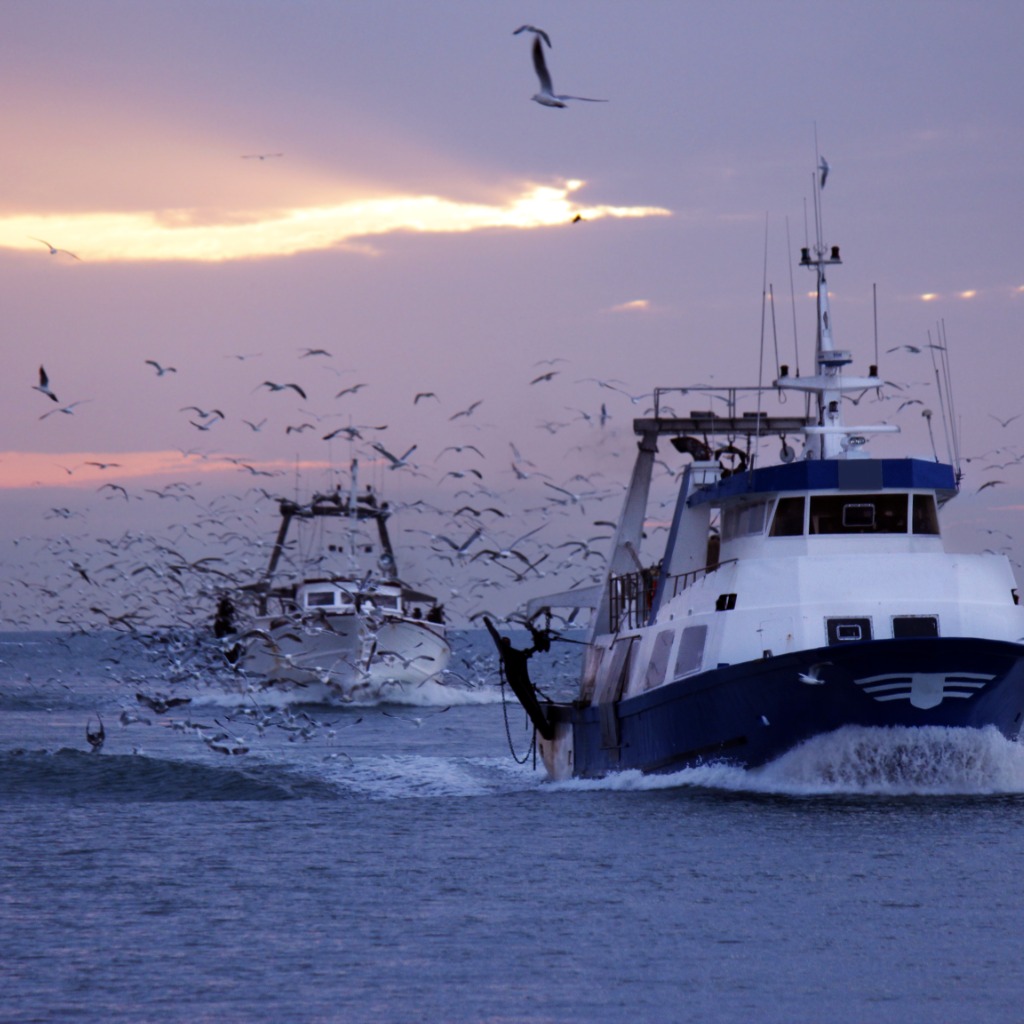 Marine Transportation