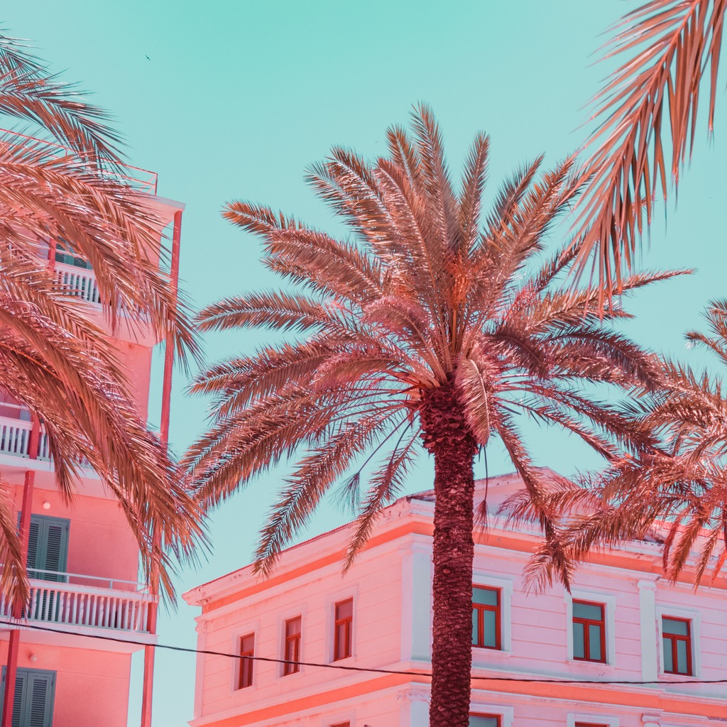 Hospitality Management and Related Studies