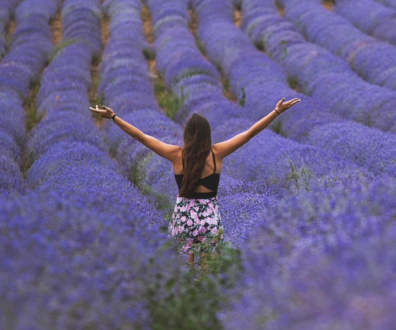 Alternative Medicine and Related Studies