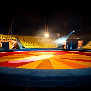 image for Circus Performer