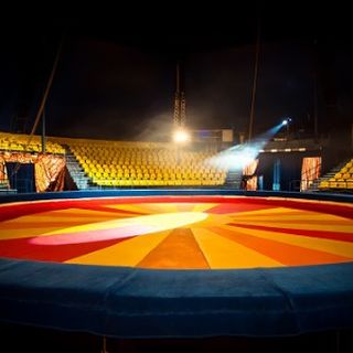 image for Circus Performer