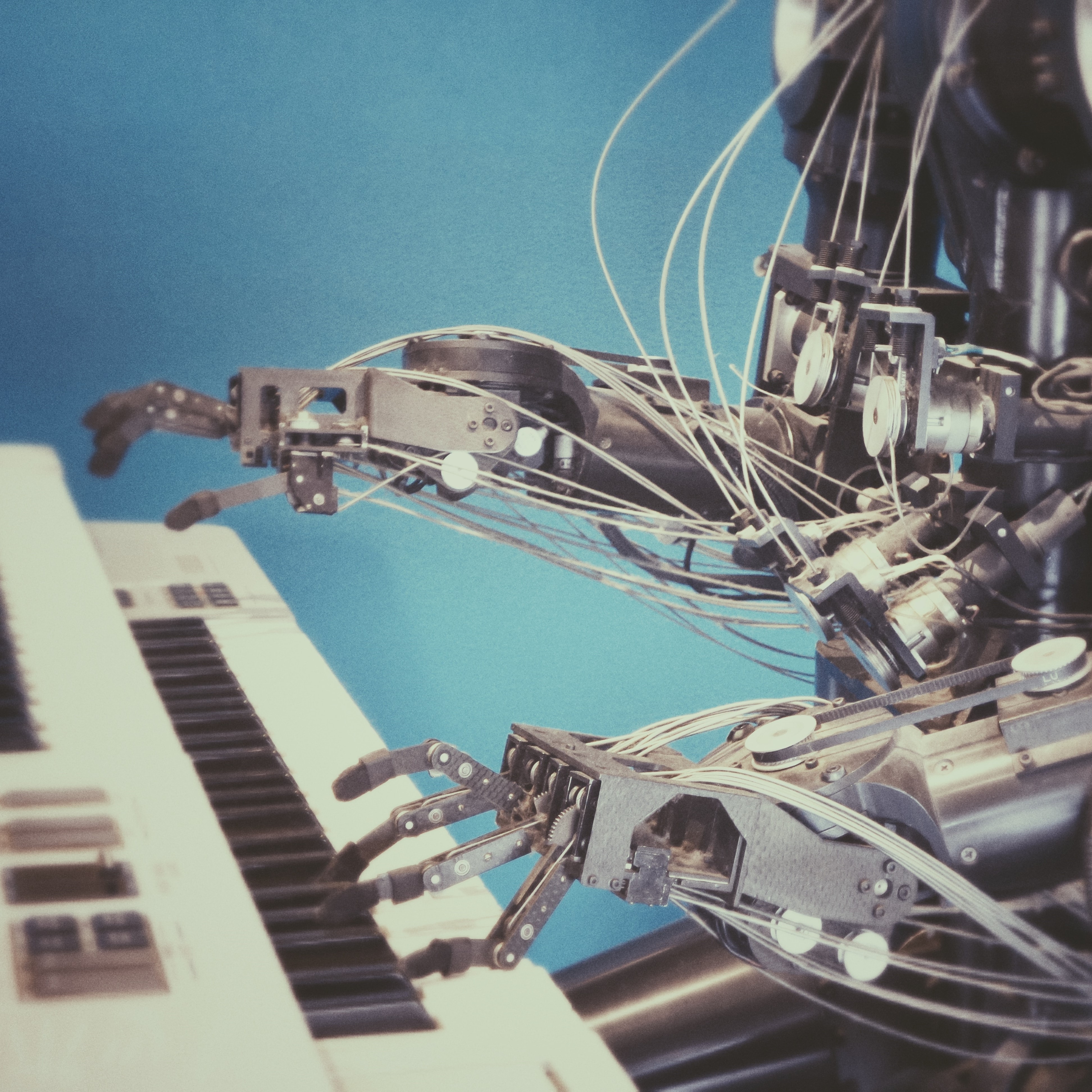 How to Choose a Career That a Robot Won’t Steal banner image