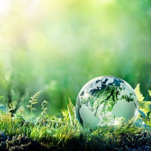 Environmental Technician