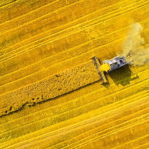 Certified Crop Advisor