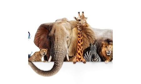 Zoologist