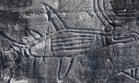 Anthropologist