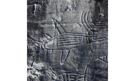 Anthropologist