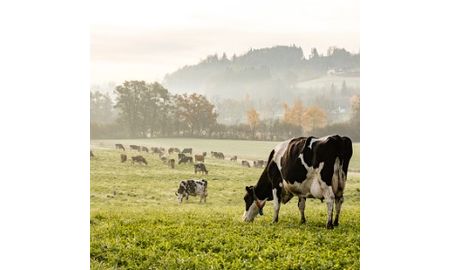 Agricultural and Food Science Technician
