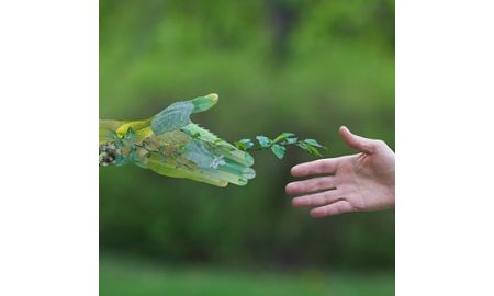 Sustainability Officer
