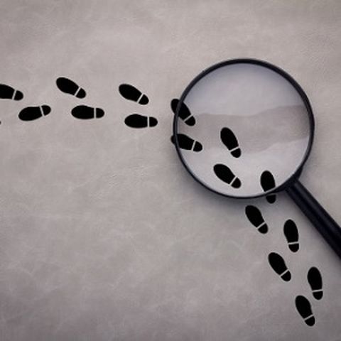 Private Detective