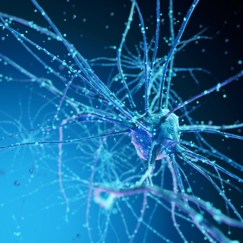 Biology and Related Studies