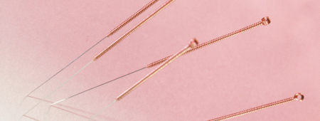 Veterinary Acupuncturist