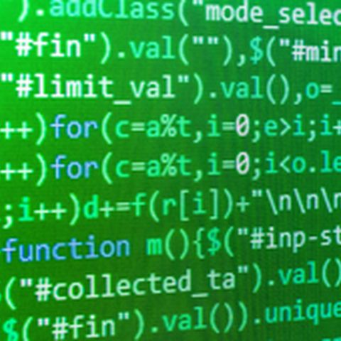 Web Developer